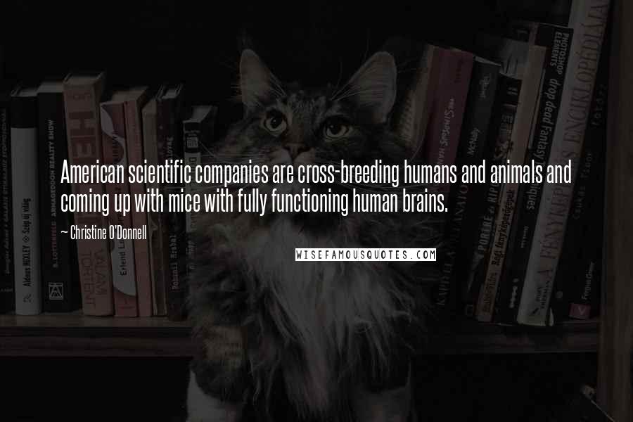 Christine O'Donnell Quotes: American scientific companies are cross-breeding humans and animals and coming up with mice with fully functioning human brains.