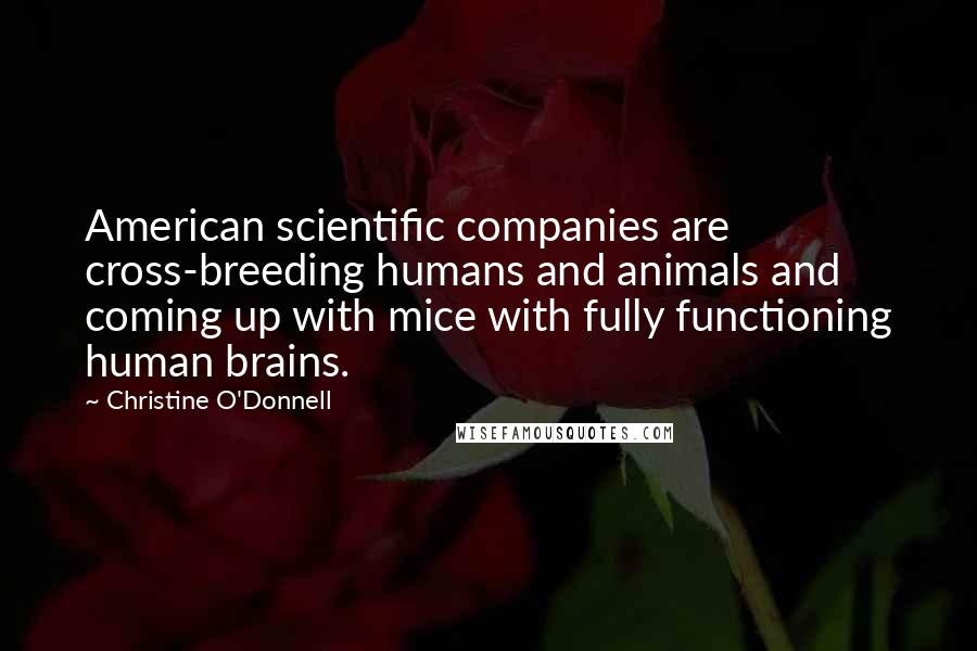 Christine O'Donnell Quotes: American scientific companies are cross-breeding humans and animals and coming up with mice with fully functioning human brains.