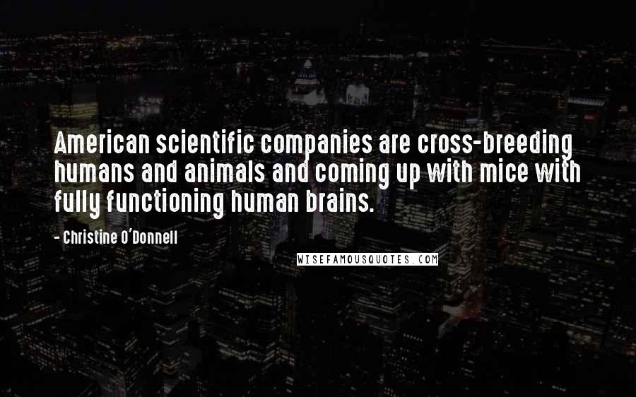 Christine O'Donnell Quotes: American scientific companies are cross-breeding humans and animals and coming up with mice with fully functioning human brains.