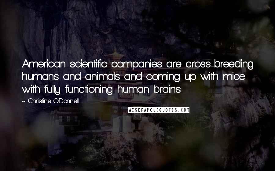 Christine O'Donnell Quotes: American scientific companies are cross-breeding humans and animals and coming up with mice with fully functioning human brains.