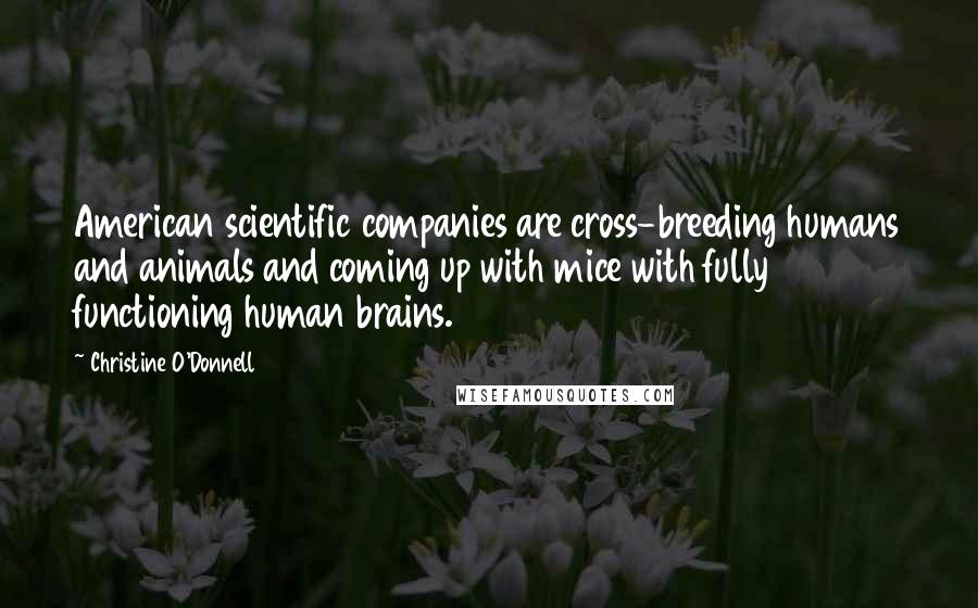 Christine O'Donnell Quotes: American scientific companies are cross-breeding humans and animals and coming up with mice with fully functioning human brains.