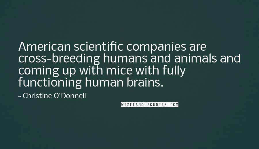 Christine O'Donnell Quotes: American scientific companies are cross-breeding humans and animals and coming up with mice with fully functioning human brains.