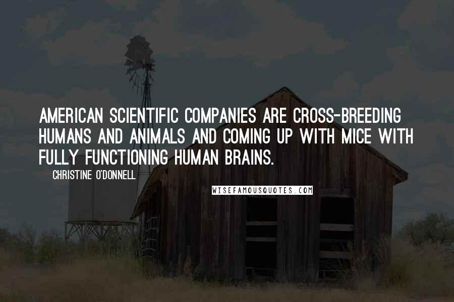 Christine O'Donnell Quotes: American scientific companies are cross-breeding humans and animals and coming up with mice with fully functioning human brains.