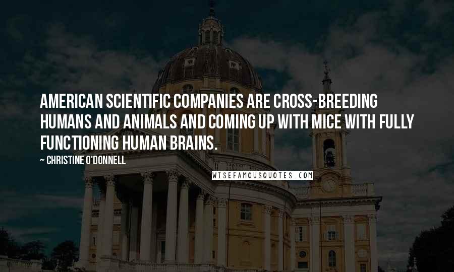 Christine O'Donnell Quotes: American scientific companies are cross-breeding humans and animals and coming up with mice with fully functioning human brains.