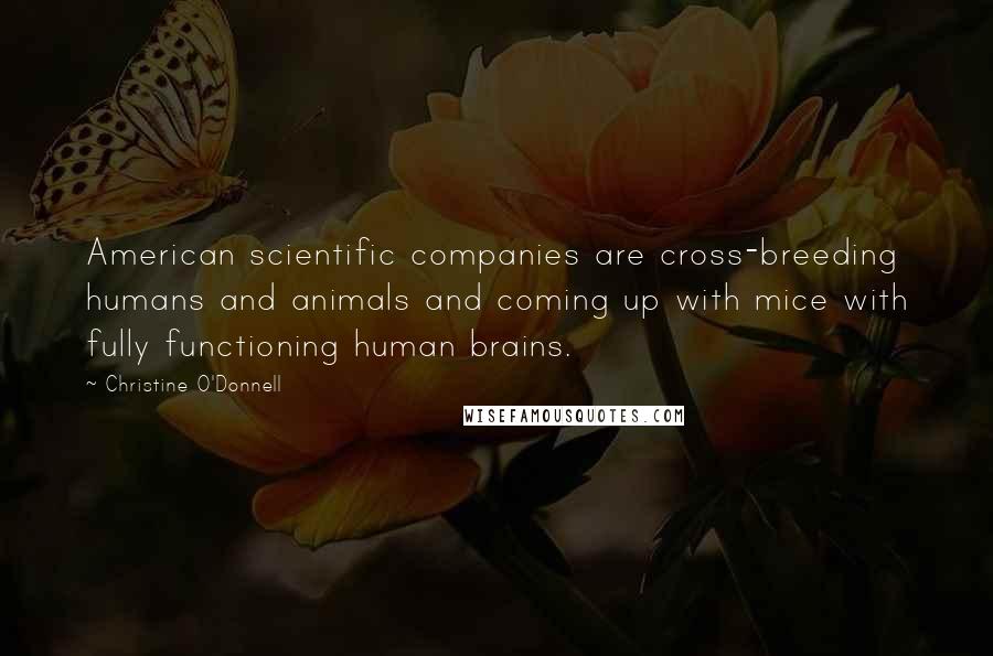 Christine O'Donnell Quotes: American scientific companies are cross-breeding humans and animals and coming up with mice with fully functioning human brains.