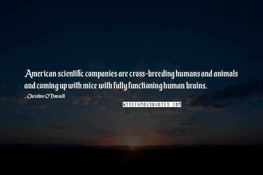 Christine O'Donnell Quotes: American scientific companies are cross-breeding humans and animals and coming up with mice with fully functioning human brains.