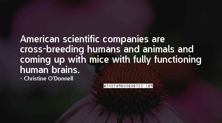 Christine O'Donnell Quotes: American scientific companies are cross-breeding humans and animals and coming up with mice with fully functioning human brains.