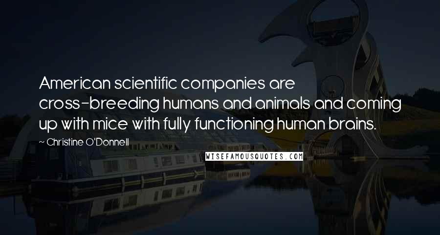 Christine O'Donnell Quotes: American scientific companies are cross-breeding humans and animals and coming up with mice with fully functioning human brains.