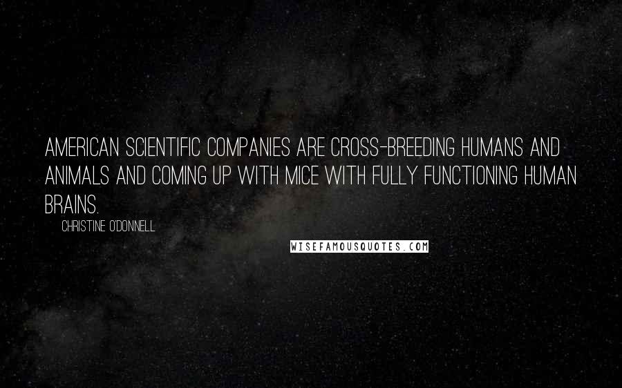 Christine O'Donnell Quotes: American scientific companies are cross-breeding humans and animals and coming up with mice with fully functioning human brains.