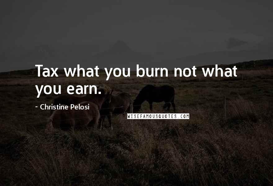 Christine Pelosi Quotes: Tax what you burn not what you earn.