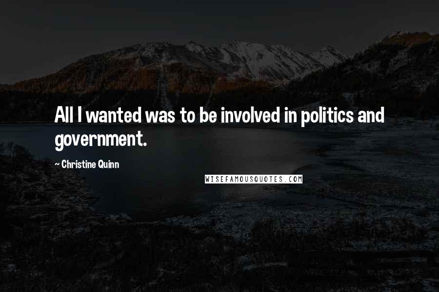 Christine Quinn Quotes: All I wanted was to be involved in politics and government.