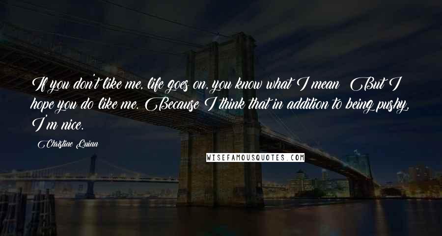 Christine Quinn Quotes: If you don't like me, life goes on, you know what I mean? But I hope you do like me. Because I think that in addition to being pushy, I'm nice.