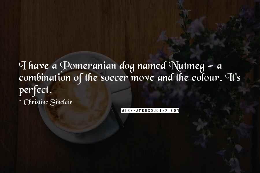 Christine Sinclair Quotes: I have a Pomeranian dog named Nutmeg - a combination of the soccer move and the colour. It's perfect.