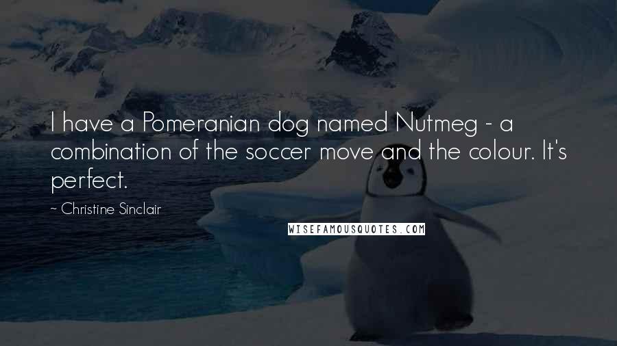 Christine Sinclair Quotes: I have a Pomeranian dog named Nutmeg - a combination of the soccer move and the colour. It's perfect.