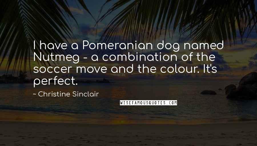 Christine Sinclair Quotes: I have a Pomeranian dog named Nutmeg - a combination of the soccer move and the colour. It's perfect.