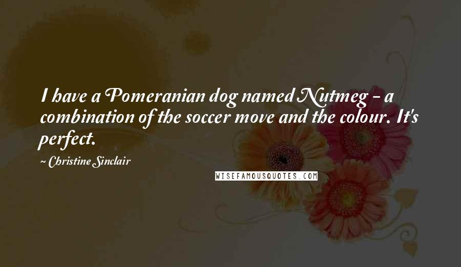 Christine Sinclair Quotes: I have a Pomeranian dog named Nutmeg - a combination of the soccer move and the colour. It's perfect.