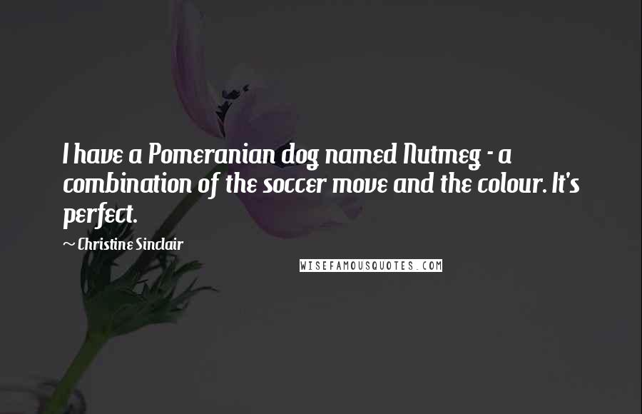 Christine Sinclair Quotes: I have a Pomeranian dog named Nutmeg - a combination of the soccer move and the colour. It's perfect.