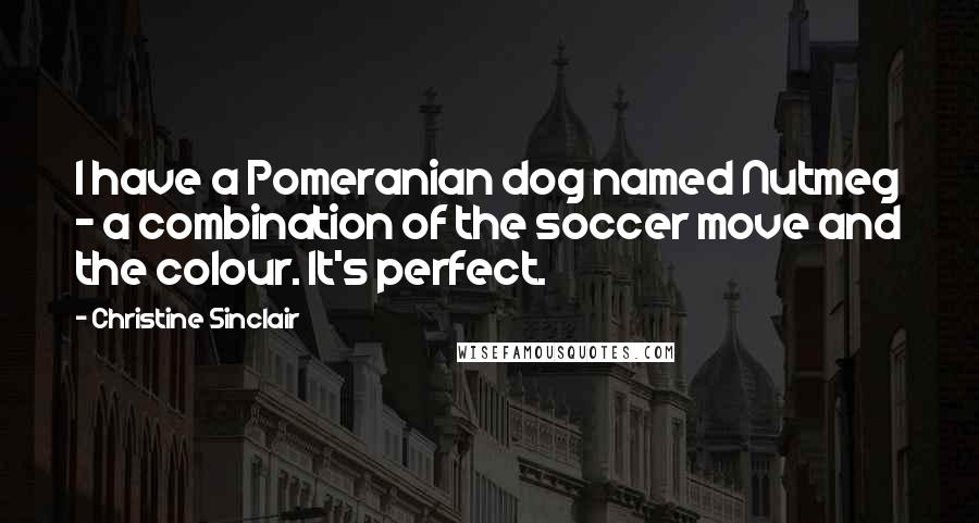 Christine Sinclair Quotes: I have a Pomeranian dog named Nutmeg - a combination of the soccer move and the colour. It's perfect.