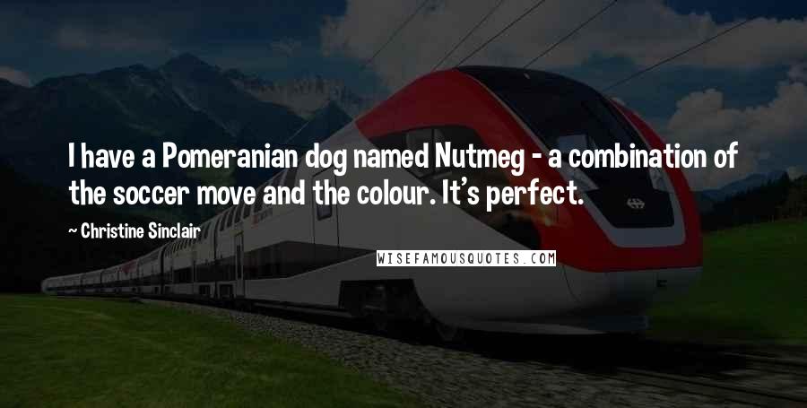 Christine Sinclair Quotes: I have a Pomeranian dog named Nutmeg - a combination of the soccer move and the colour. It's perfect.