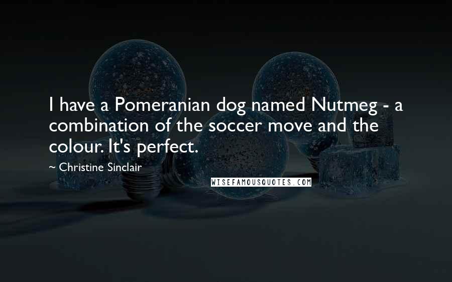 Christine Sinclair Quotes: I have a Pomeranian dog named Nutmeg - a combination of the soccer move and the colour. It's perfect.