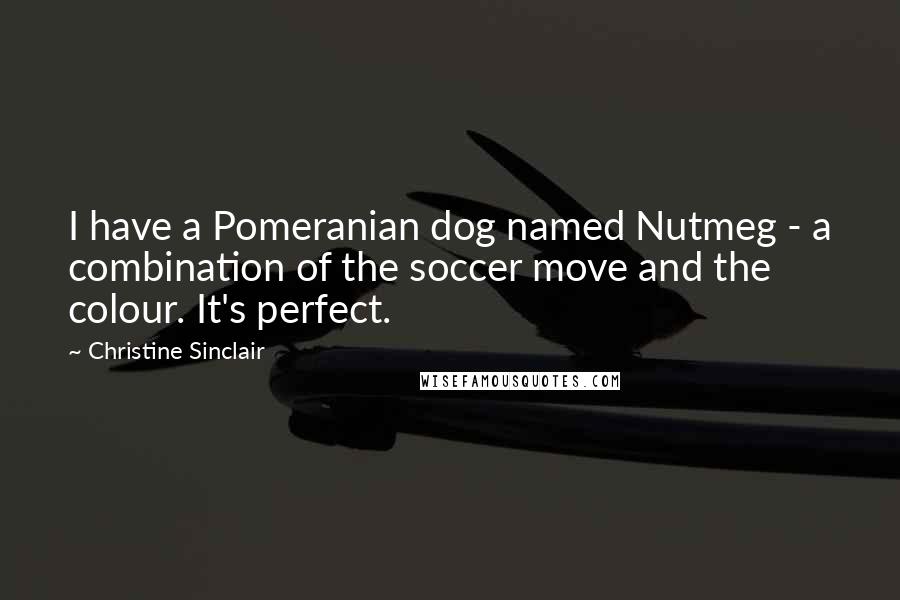 Christine Sinclair Quotes: I have a Pomeranian dog named Nutmeg - a combination of the soccer move and the colour. It's perfect.
