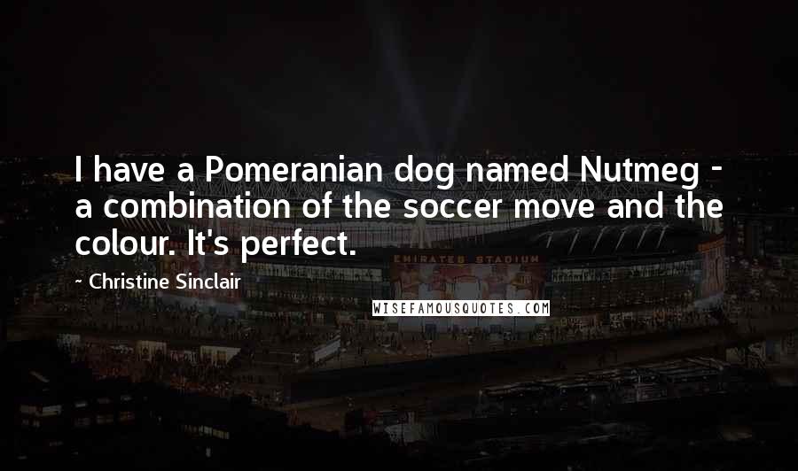 Christine Sinclair Quotes: I have a Pomeranian dog named Nutmeg - a combination of the soccer move and the colour. It's perfect.