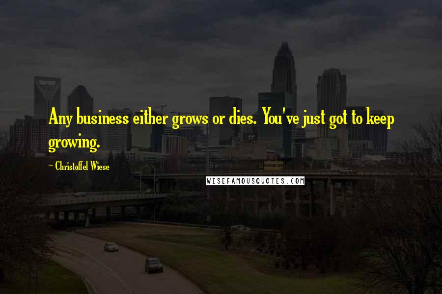 Christoffel Wiese Quotes: Any business either grows or dies. You've just got to keep growing.