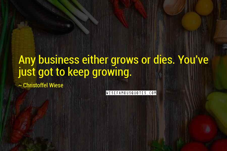 Christoffel Wiese Quotes: Any business either grows or dies. You've just got to keep growing.