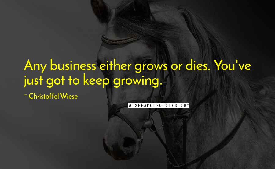 Christoffel Wiese Quotes: Any business either grows or dies. You've just got to keep growing.