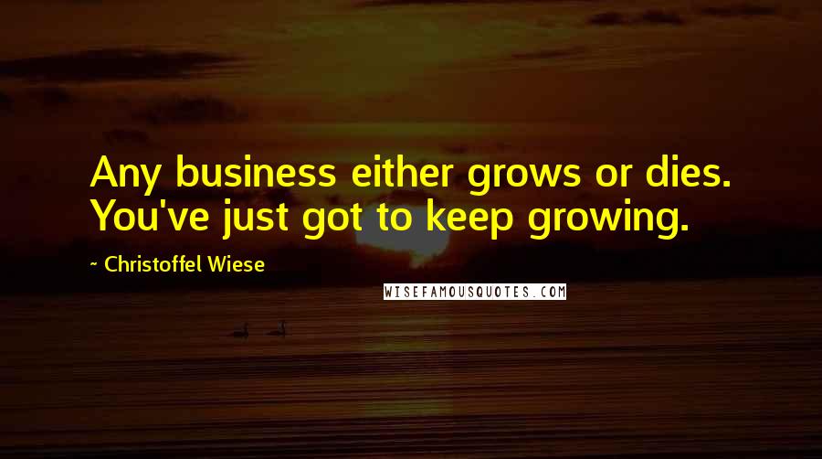 Christoffel Wiese Quotes: Any business either grows or dies. You've just got to keep growing.