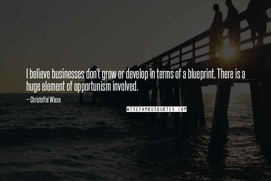 Christoffel Wiese Quotes: I believe businesses don't grow or develop in terms of a blueprint. There is a huge element of opportunism involved.