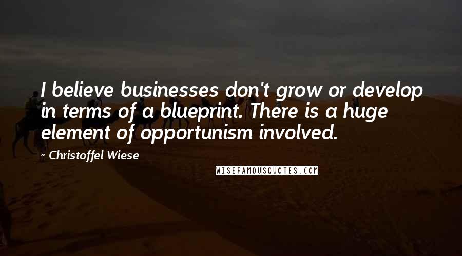Christoffel Wiese Quotes: I believe businesses don't grow or develop in terms of a blueprint. There is a huge element of opportunism involved.