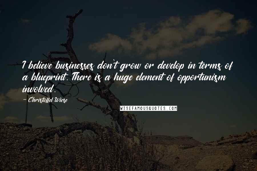 Christoffel Wiese Quotes: I believe businesses don't grow or develop in terms of a blueprint. There is a huge element of opportunism involved.