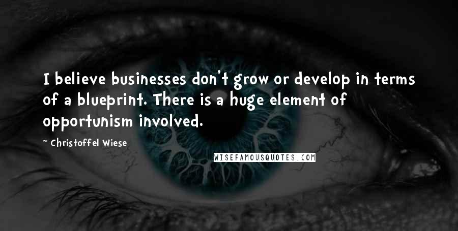 Christoffel Wiese Quotes: I believe businesses don't grow or develop in terms of a blueprint. There is a huge element of opportunism involved.