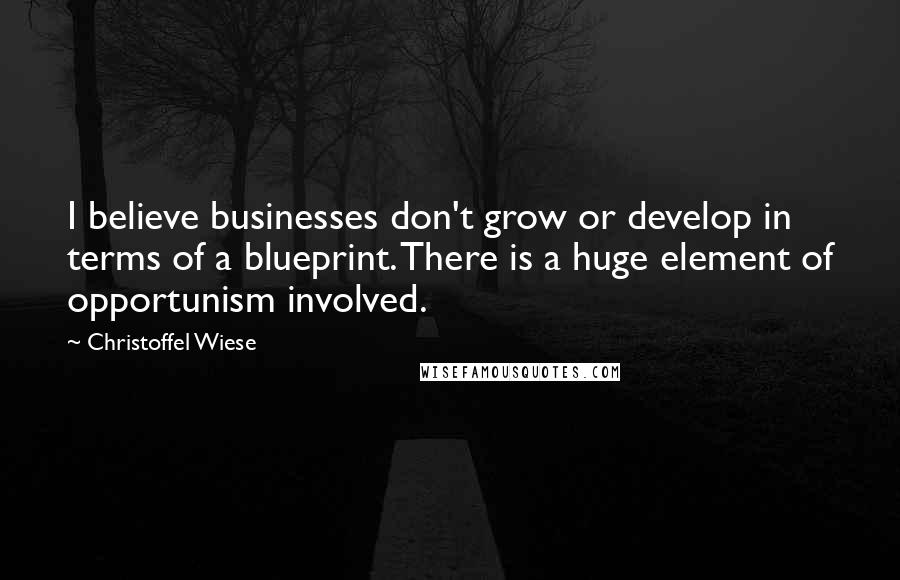 Christoffel Wiese Quotes: I believe businesses don't grow or develop in terms of a blueprint. There is a huge element of opportunism involved.