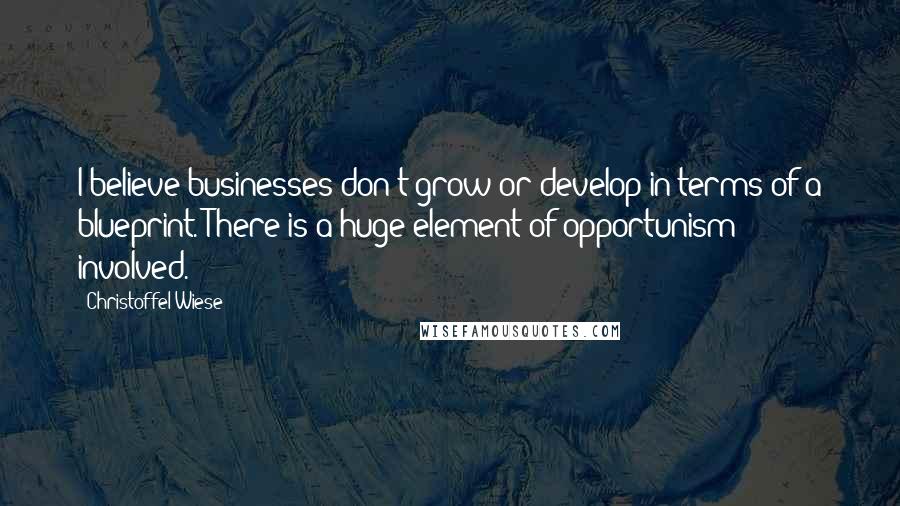 Christoffel Wiese Quotes: I believe businesses don't grow or develop in terms of a blueprint. There is a huge element of opportunism involved.