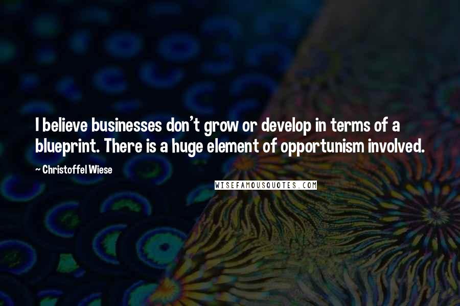 Christoffel Wiese Quotes: I believe businesses don't grow or develop in terms of a blueprint. There is a huge element of opportunism involved.
