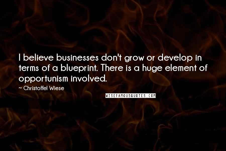 Christoffel Wiese Quotes: I believe businesses don't grow or develop in terms of a blueprint. There is a huge element of opportunism involved.
