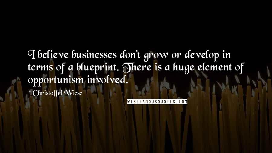 Christoffel Wiese Quotes: I believe businesses don't grow or develop in terms of a blueprint. There is a huge element of opportunism involved.