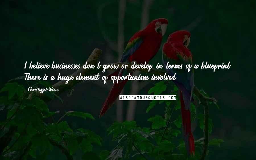 Christoffel Wiese Quotes: I believe businesses don't grow or develop in terms of a blueprint. There is a huge element of opportunism involved.