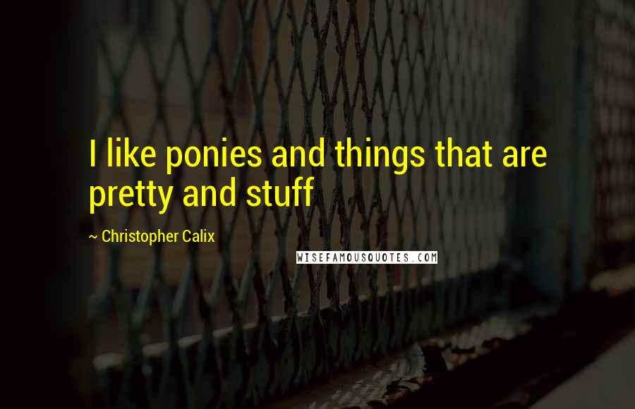 Christopher Calix Quotes: I like ponies and things that are pretty and stuff