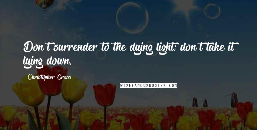 Christopher Cross Quotes: Don't surrender to the dying light; don't take it lying down.