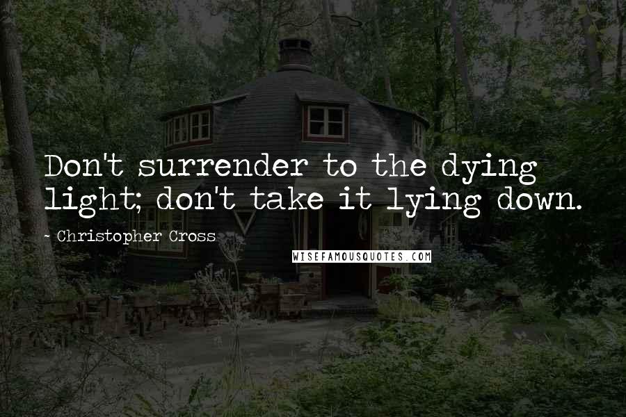Christopher Cross Quotes: Don't surrender to the dying light; don't take it lying down.