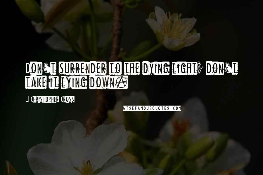 Christopher Cross Quotes: Don't surrender to the dying light; don't take it lying down.