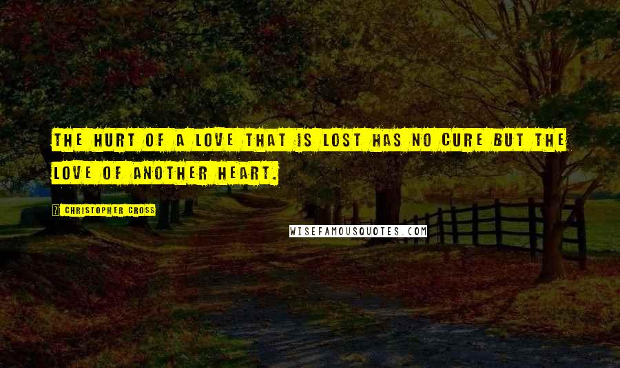 Christopher Cross Quotes: The hurt of a love that is lost has no cure but the love of another heart.