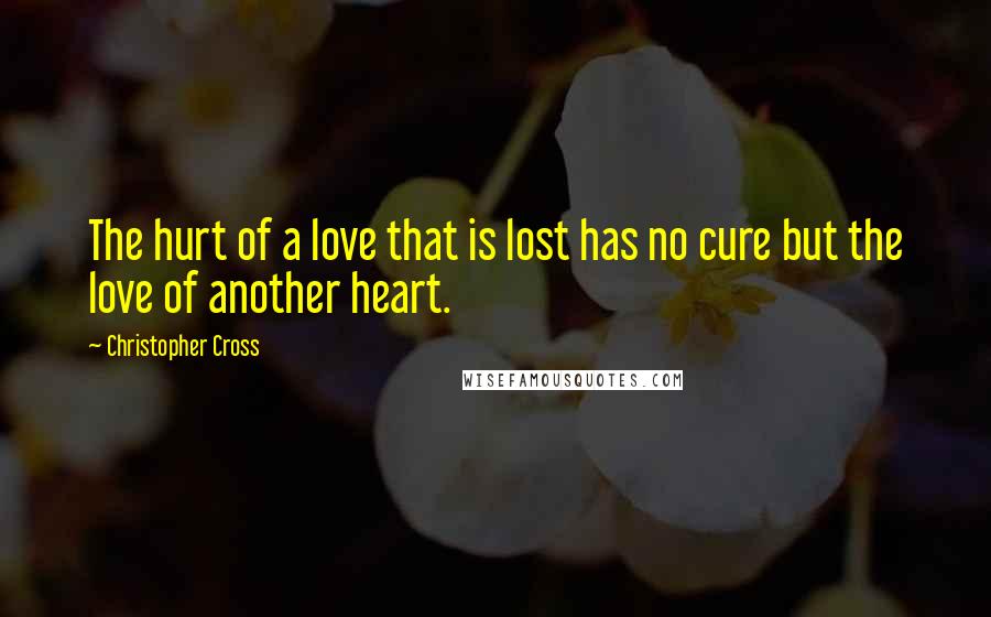 Christopher Cross Quotes: The hurt of a love that is lost has no cure but the love of another heart.