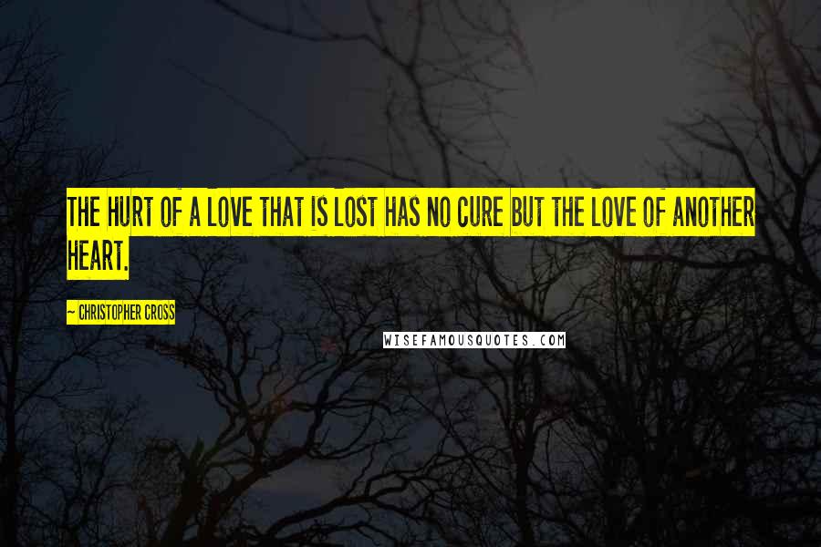 Christopher Cross Quotes: The hurt of a love that is lost has no cure but the love of another heart.