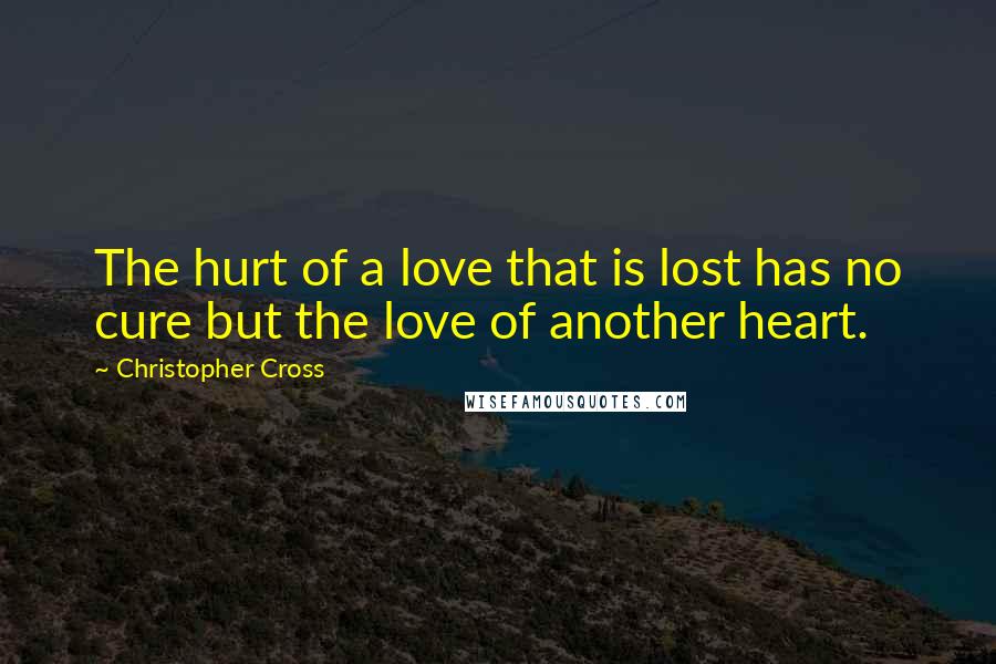 Christopher Cross Quotes: The hurt of a love that is lost has no cure but the love of another heart.