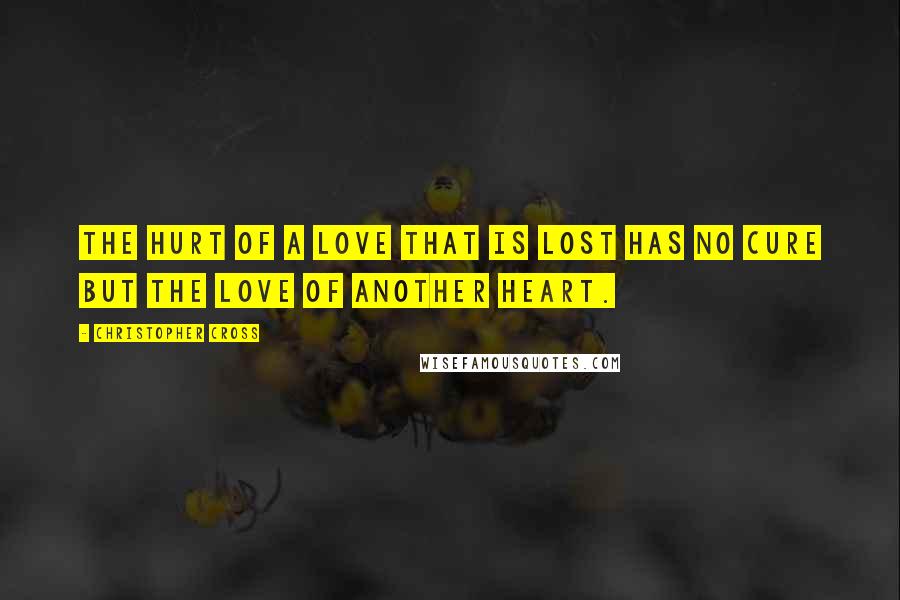 Christopher Cross Quotes: The hurt of a love that is lost has no cure but the love of another heart.