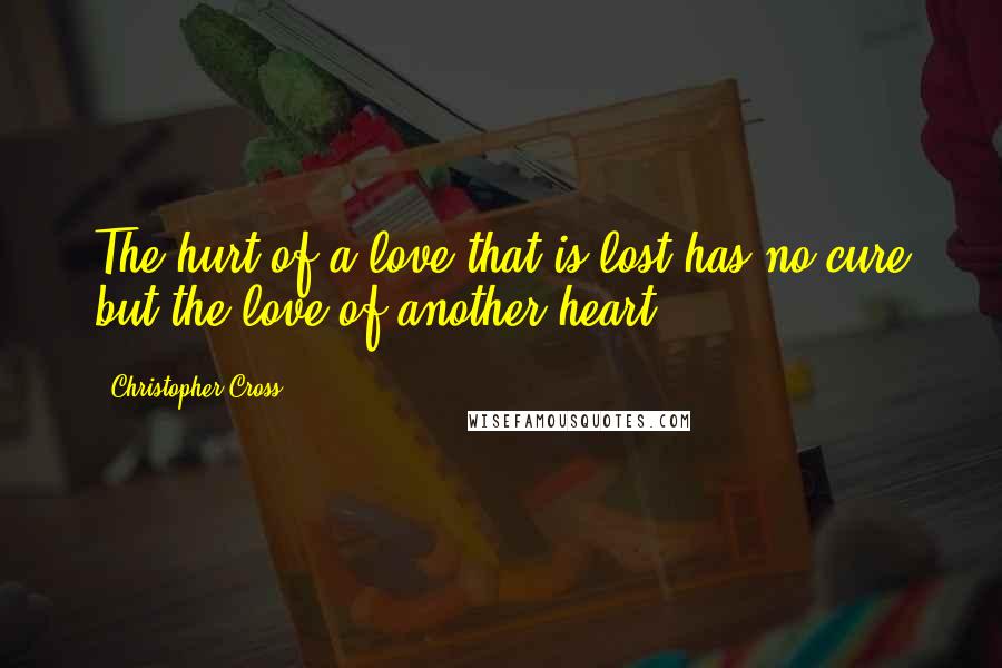 Christopher Cross Quotes: The hurt of a love that is lost has no cure but the love of another heart.